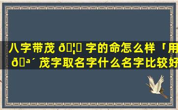 八字带茂 🦋 字的命怎么样「用 🪴 茂字取名字什么名字比较好」